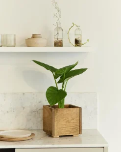 Shop Hannun Jardinière Nico